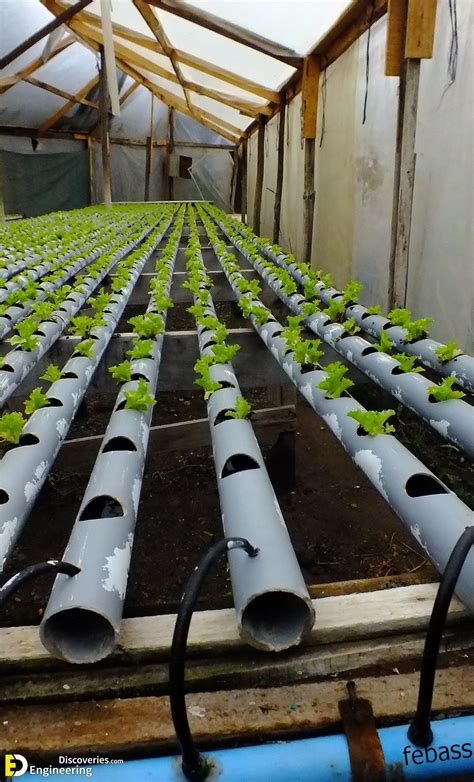 Everything You Need To Know About Hydroponics Artofit