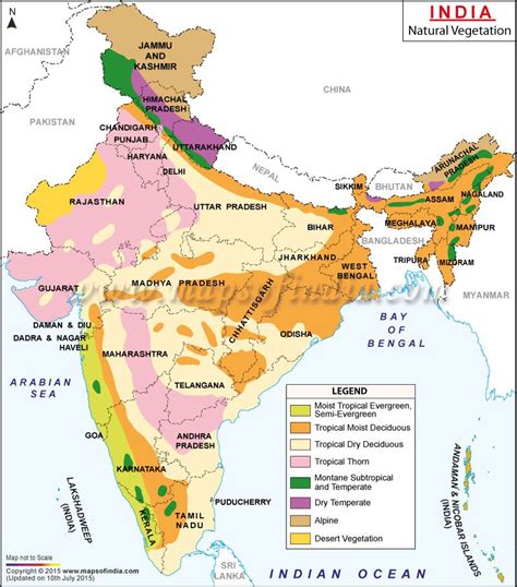 Vegetation Map Of India Types Of Forests And Vegetation