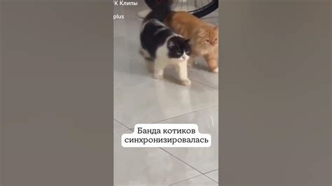 Синхро - YouTube