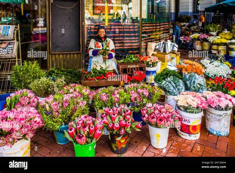 Flower Market Cape Town South Africa Western Cape Africa Stock