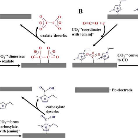 Reaction Pathways For The Electrochemical Reduction Of Co 2 On Pb In An