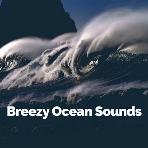 Breezy Ocean Sounds Album By Winds And Oceans Spotify