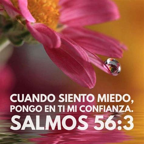 Nuestro Padre Nos Sostiene Gudelia Santana Biblical Verses God Is