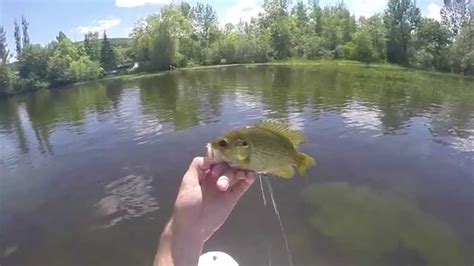 Paddle Board Fly Fishing Youtube