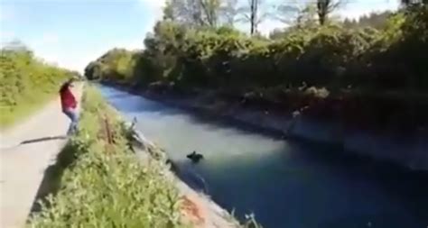 Vídeo homem salva cachorro que estava sendo levado pela correnteza