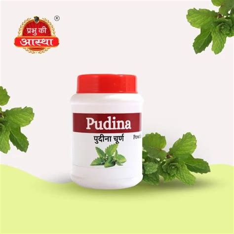 PUDINA HERBAL POWDER Packaging Size 50GM At Rs 30 Piece In Raipur