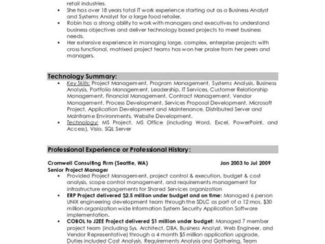 Basic Resume Summary Examples Professional Summary Resume Examples