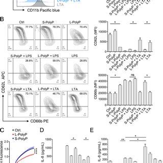 Longchain Polyphosphates Cause Neutrophildependent Lung Injury In