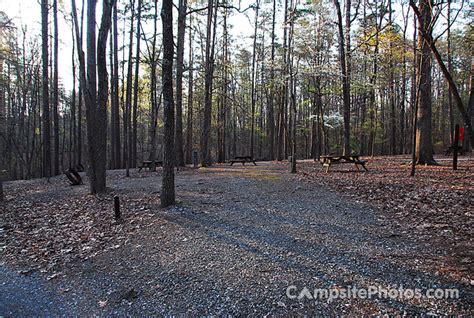 Kings Mountain State Park - Campsite Photos, Camp Info & Reservations