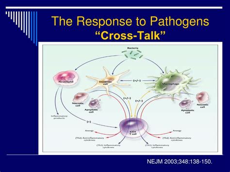 Ppt Systemic Inflammatory Response Syndrome Sirs Powerpoint Presentation Id 3111769