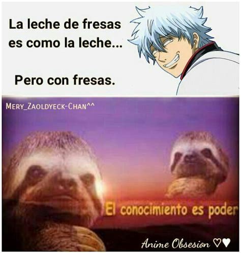 Frases De Gintama Anime Amino