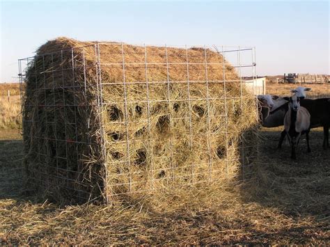 The Best Hay Feeder For Sheep Hay Feeder Sheep Feeders Cattle