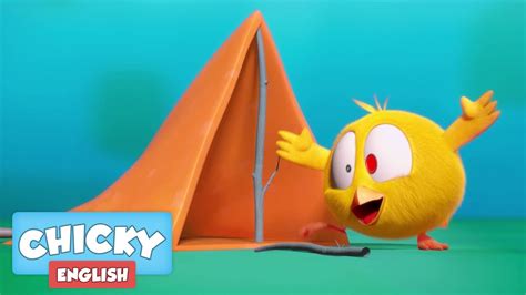 Where S Chicky Funny Chicky 2020 CAMPING Chicky Cartoon In English