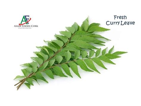 FRESH CURRY LEAVES – Asian Foods Cork