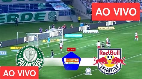 Palmeiras X Bragantino Ao Vivo Com Imagem Youtube