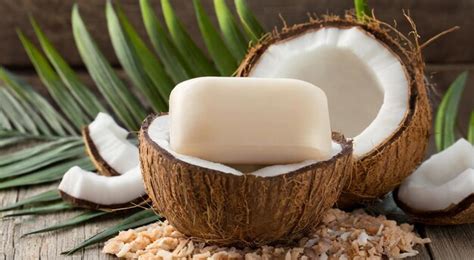 Premium Photo Organic Coconut Oil Soap Mock Up Photo