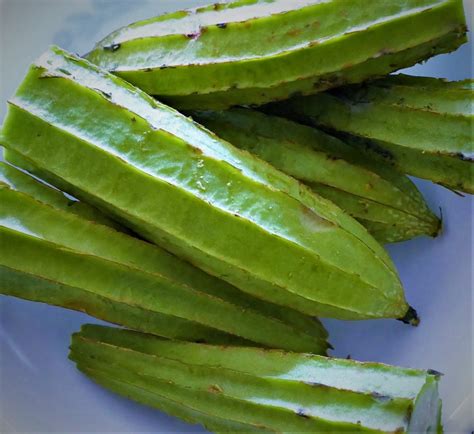 Ridge Gourd Curry Powder Sauté - Mildly spiced vegan sauté.