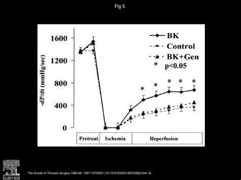 Bradykinin Pretreatment Improves Ischemia Tolerance Of The Rabbit Heart