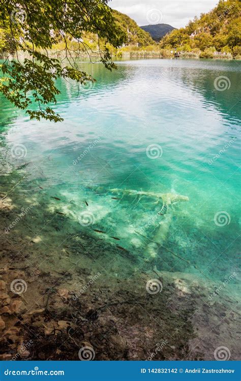 Lake With Turquoise Water Between The Rocks In The Woods Plitvice National Park Croatia Stock