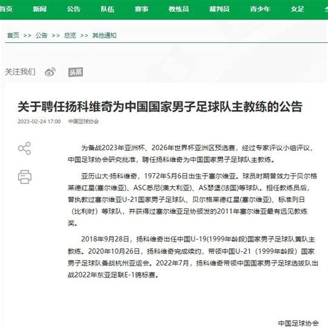 新任中国男足主教练，是他！塞尔维亚足球队扬科维奇新浪新闻