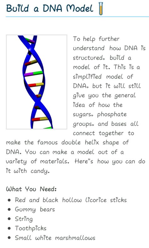 DNA Model – Khalid Public High School & College Haroon Abad