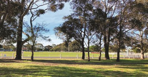 Hamlyn Park Set For Female Friendly Change Rooms If Grant Approved