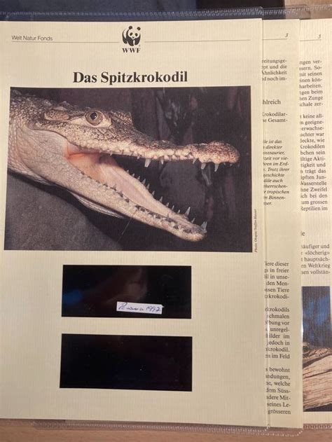 WWF Panama 1997 Spitzkrokodil Kapitel Texte Kaufen Auf Ricardo