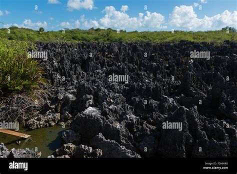 Grand Cayman Hell Limestone Landscape Stock Photo - Alamy