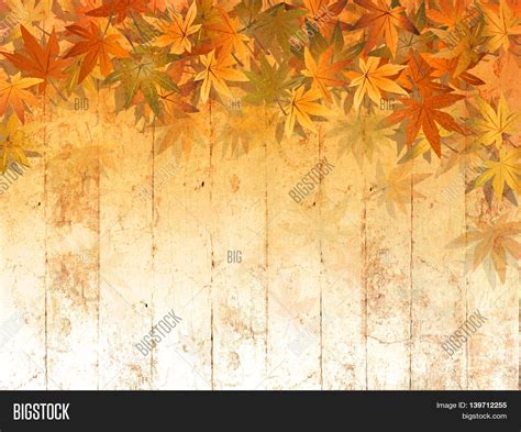 Fall Leaf Border Image & Photo (Free Trial) | Bigstock