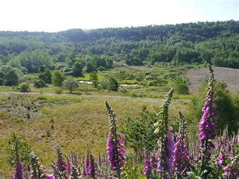 Unesco Welterbe Grube Messel L Dt Am August Zum Grubenfest Ein