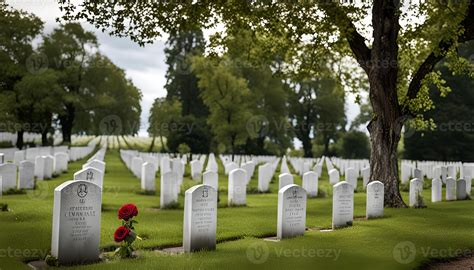A solemn cemetery in the heart of nature, rows of white tombstones echo