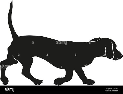 Running Dachshund Puppy Black Dog Silhouette Wiener Dog Or Sausage