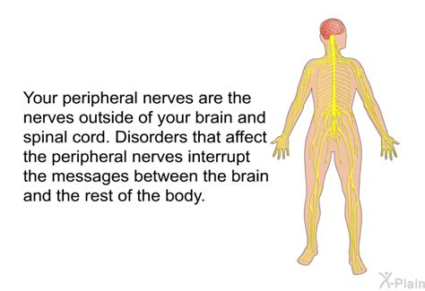 PatEdu.com : Peripheral Nerve Disorders