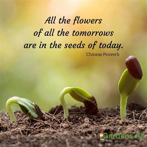 All The Flowers Of All The Tomorrows Are In The Seeds Of Today Garden