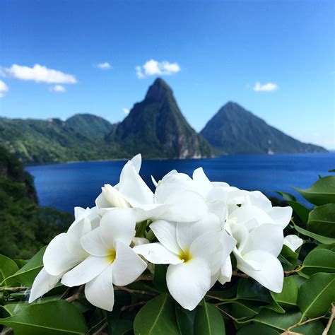 Why St Lucia? – Luxury Destination Travel