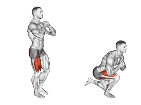 7 Best Single Leg Squat Variations (with Pictures!) - Inspire US