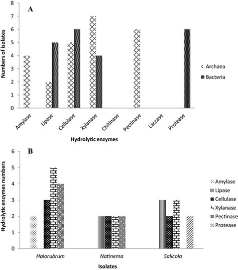 a Hydrolytic enzymes production by haloarchaeal and bacterial isolates ...