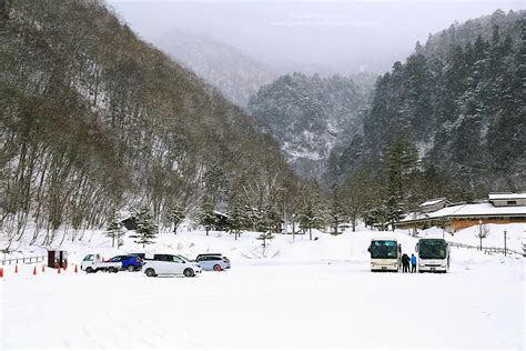 รีวิว Shirakawa-Go Light Up