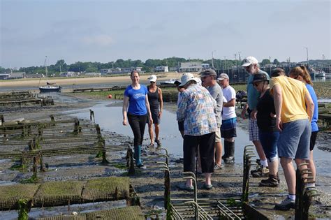 Photos From A Wellfleet Oyster Farm Tour