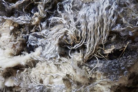 Swedish Wool Revolution Transforming Discarded Fibers Into Sustainable