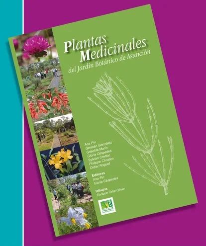 Libro Sobre Plantas Medicinales Literatura Abc Color