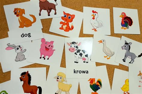 Karty Obrazkowe Flashcards Zwierzęta Dom i Farma SzkolneNaklejki pl