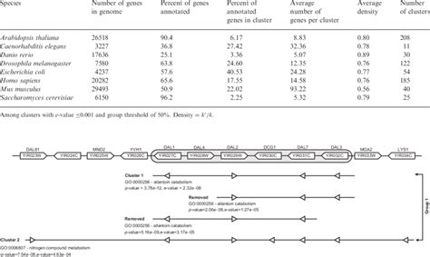 Summary of gene clusters identified in eight species | Download Table