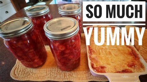 Canning Cherry Pie Filling And Bonus Dessert Recipe Homestead Pantry Youtube