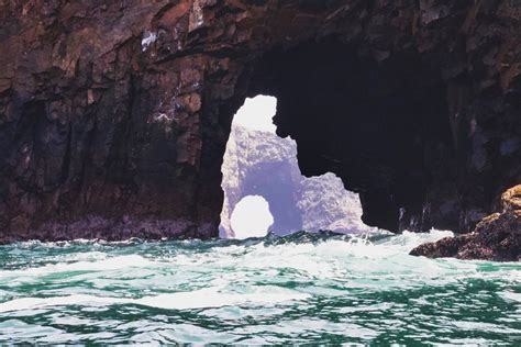 Isla Ballestas Paracas Full Day Más Buceo en Reserva Nacional De