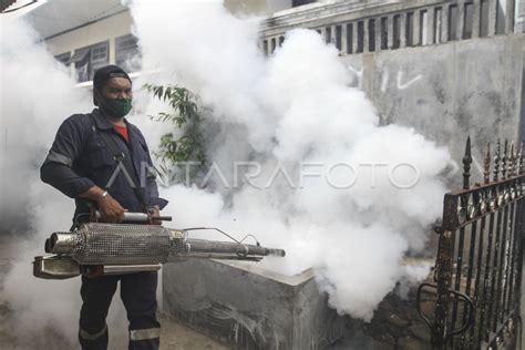 PENGASAPAN CEGAH DBD DI PERMUKIMAN ANTARA Foto