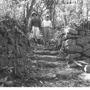 Inca Fort Ruins At 950 M Elevation In Madidi National Park Amazonian