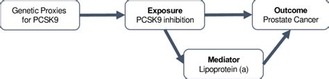 A Directed Acyclic Graph Showing The Putative Association Between Pcsk