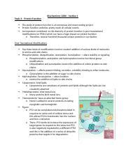 Biochem Topic Docx Biochemistry Section Topic Protein