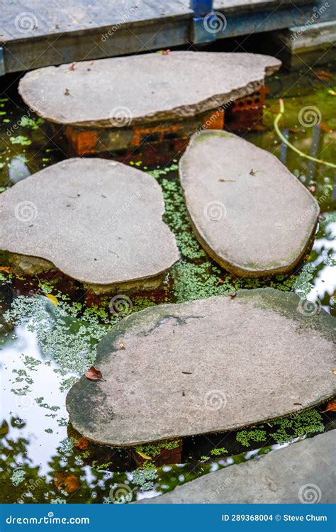 Stone Walkway In Garden Pool Stock Photo Image Of Autumn Direction